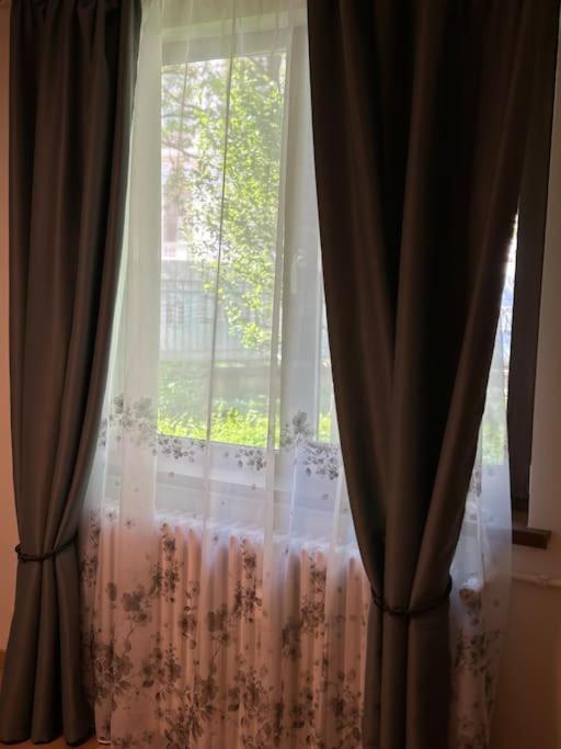 Alea Central Studio Art Museum Крайова Экстерьер фото